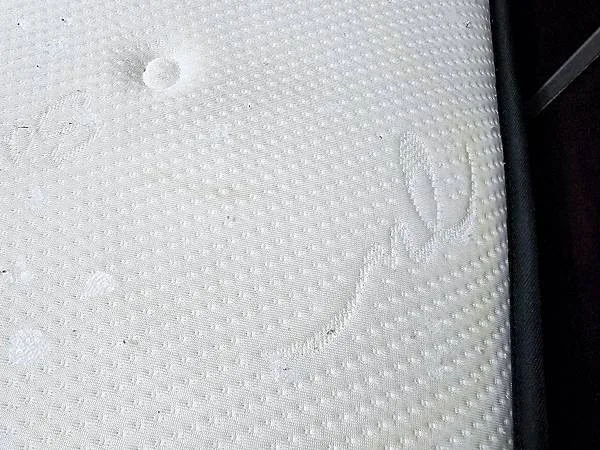 1.00