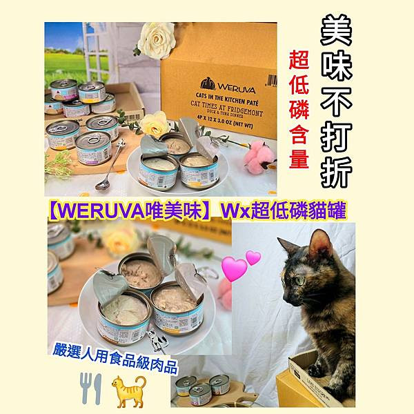 體驗｜鮮燉雞肉、雙魚盛宴、原萃雞肉【WERUVA唯美味】Wx超低磷貓罐｜美味低磷罐頭分享