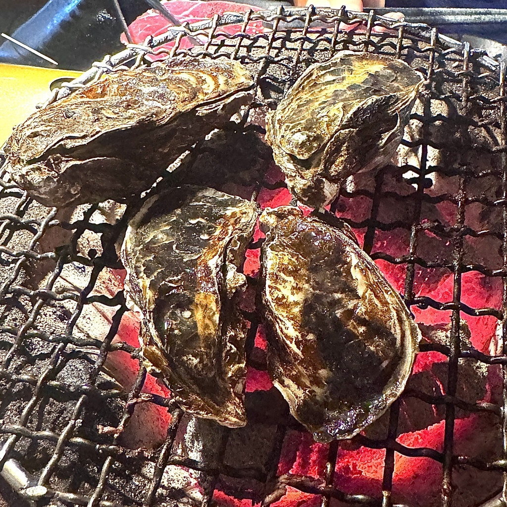 新莊豚野日式炭火燒肉生豪.JPG