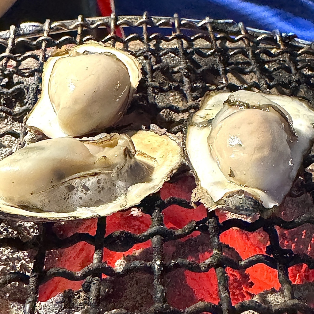 新莊豚野日式炭火燒肉生豪吃到飽.JPG