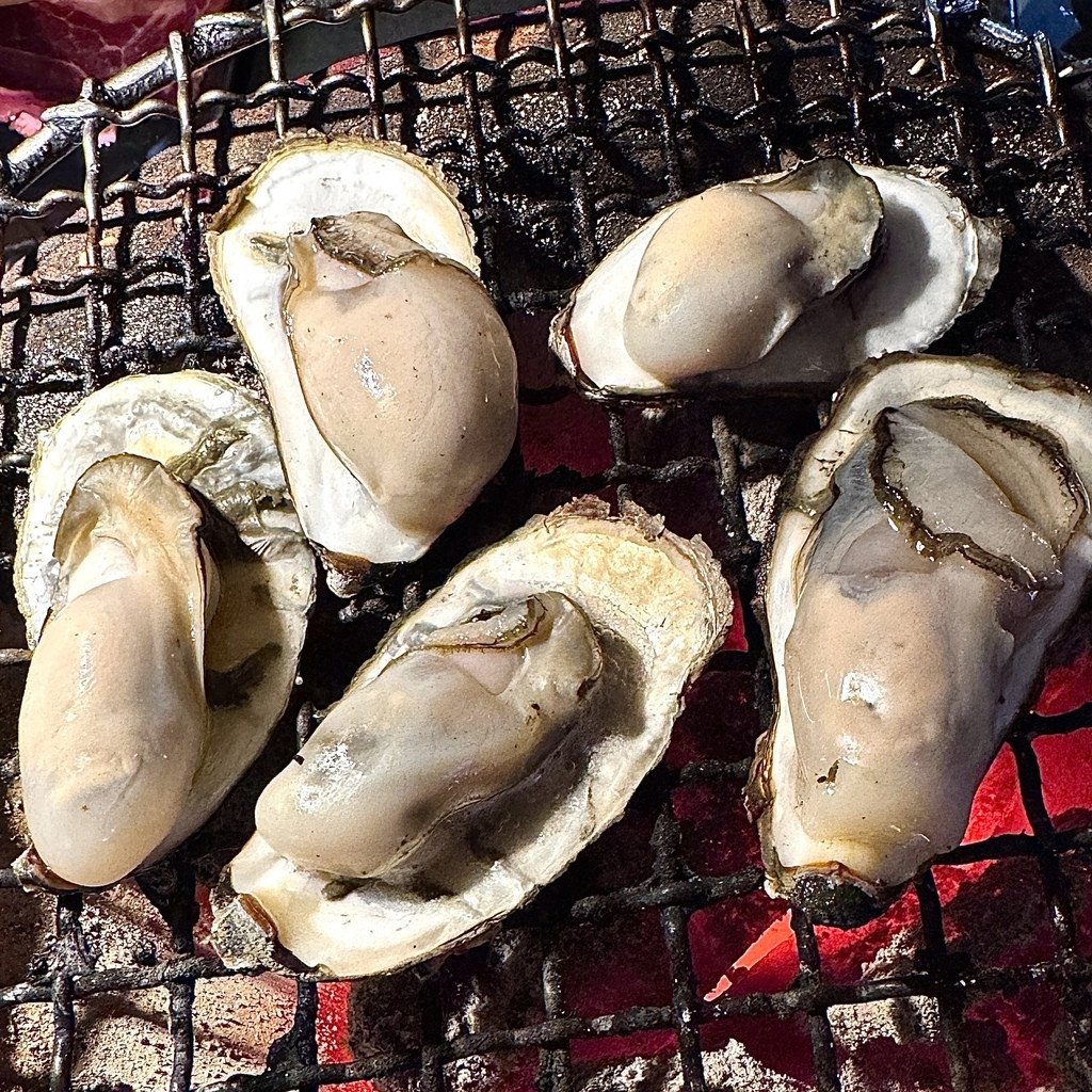 新莊豚野日式炭火燒肉烤生豪.JPG