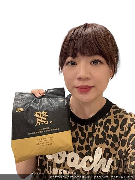 【天天驚奇褲】褲型衛生棉 棉生棉褲 純粹黑 (3片/包) 試