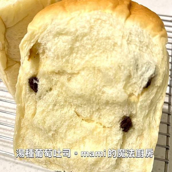 【湯種葡萄吐司】柔軟保濕。最愛NO.1
