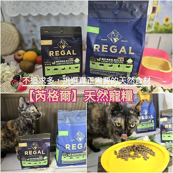 體驗｜不只美味更要完整營養，來自美國小批慢煮工藝 【芮格爾】天然寵糧｜不含人工色素、防腐劑 ｜全齡貓適用的機能性飼料開箱