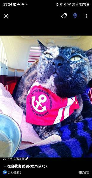 體驗｜不只美味更要完整營養，來自美國小批慢煮工藝 【芮格爾】