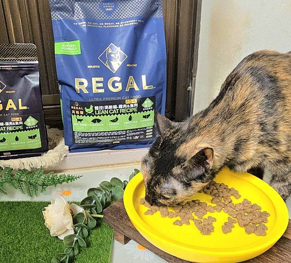 體驗｜不只美味更要完整營養，來自美國小批慢煮工藝 【芮格爾】