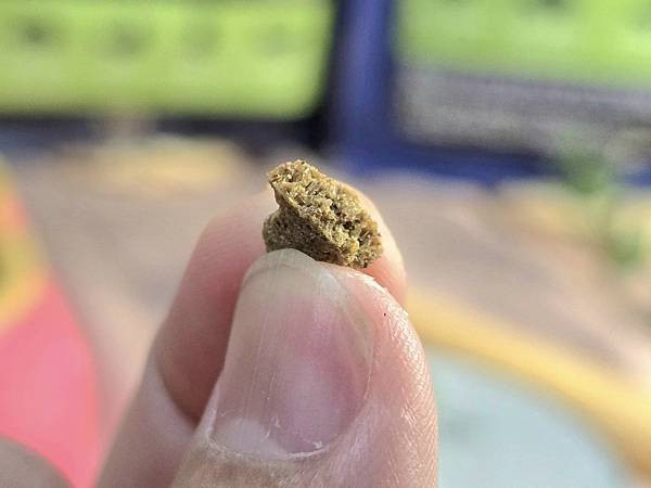 體驗｜不只美味更要完整營養，來自美國小批慢煮工藝 【芮格爾】