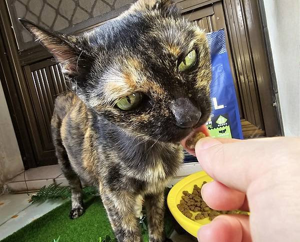 體驗｜不只美味更要完整營養，來自美國小批慢煮工藝 【芮格爾】