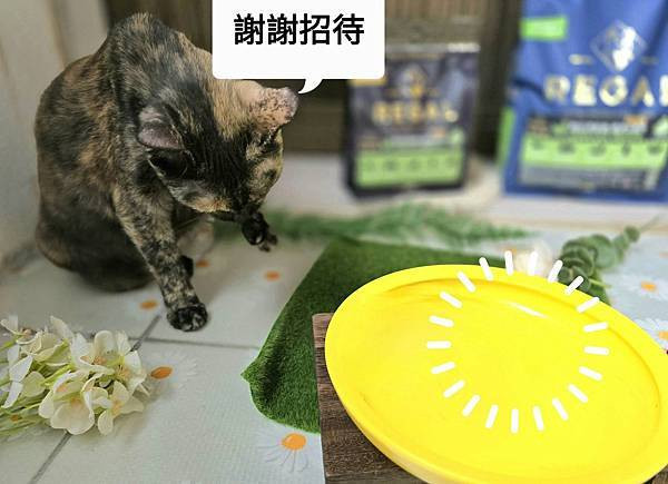 體驗｜不只美味更要完整營養，來自美國小批慢煮工藝 【芮格爾】