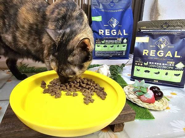 體驗｜不只美味更要完整營養，來自美國小批慢煮工藝 【芮格爾】