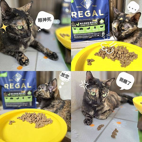 體驗｜不只美味更要完整營養，來自美國小批慢煮工藝 【芮格爾】