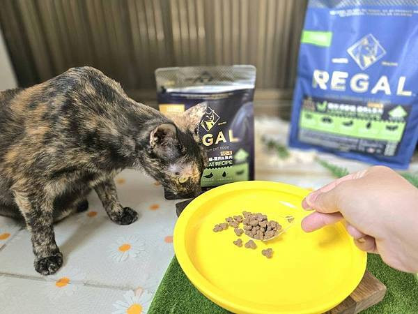 體驗｜不只美味更要完整營養，來自美國小批慢煮工藝 【芮格爾】