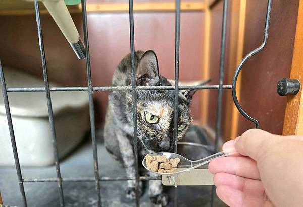 體驗｜不只美味更要完整營養，來自美國小批慢煮工藝 【芮格爾】