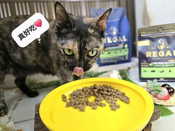 體驗｜不只美味更要完整營養，來自美國小批慢煮工藝 【芮格爾】