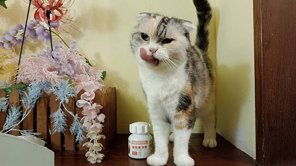 【寵物】奧沛 OurPet｜貓用膚沛錠｜貓皮膚保健｜添加魚油｜跟著飼料丟一顆