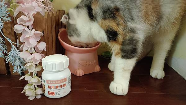 【寵物】奧沛 OurPet｜貓用膚沛錠｜貓皮膚保健｜添加魚油