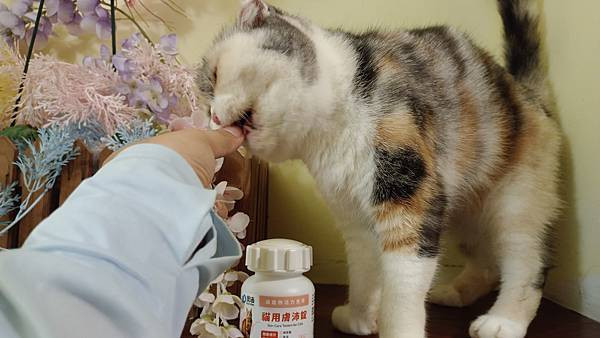【寵物】奧沛 OurPet｜貓用膚沛錠｜貓皮膚保健｜添加魚油