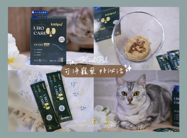 寵物泌尿保健品推薦｜可沛寵藥【好泌活】貓狗泌尿道營養補充怎麼選？獸醫專業植萃舒泌配方開箱，泌尿道+舒壓雙重守護，毛孩安心首選！