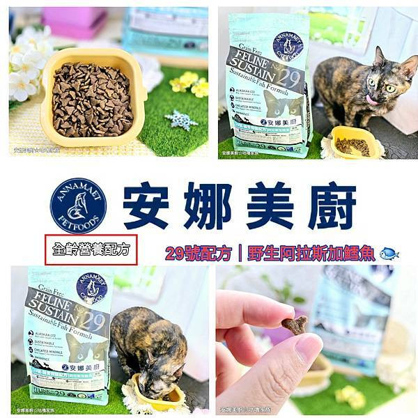 體驗｜高齡貓更需要的營養配方，全齡貓皆可食用的低GI貓糧【Annamaet安娜美廚】極地淬鍊精彩重現、美國製造、高CP值飼料推薦