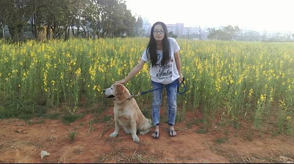 體驗｜高齡貓更需要的營養配方，全齡貓皆可食用的低GI貓糧【A