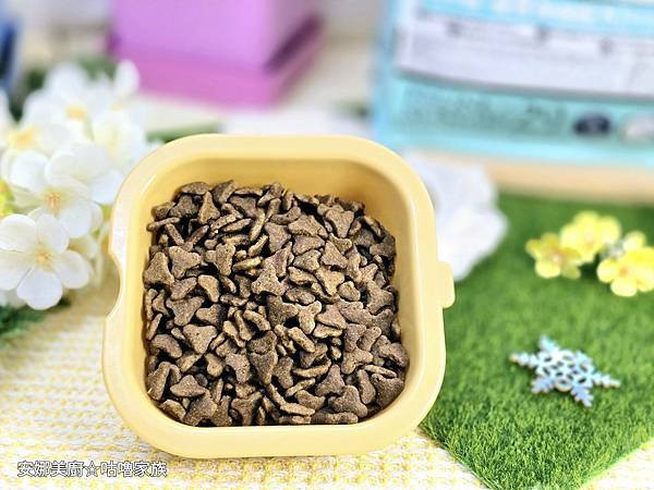 體驗｜高齡貓更需要的營養配方，全齡貓皆可食用的低GI貓糧【A