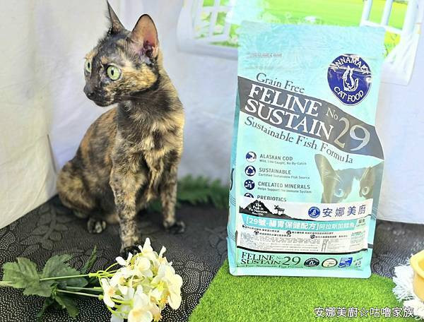 體驗｜高齡貓更需要的營養配方，全齡貓皆可食用的低GI貓糧【A