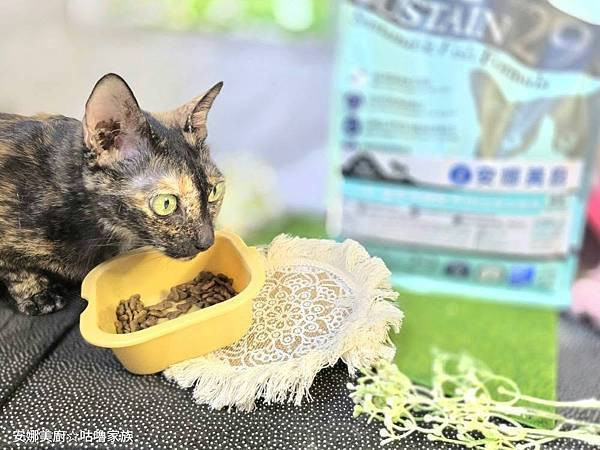 體驗｜高齡貓更需要的營養配方，全齡貓皆可食用的低GI貓糧【A