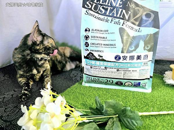 體驗｜高齡貓更需要的營養配方，全齡貓皆可食用的低GI貓糧【A
