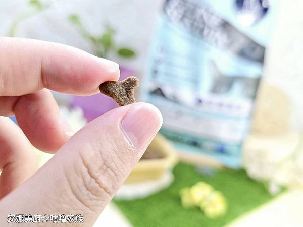 體驗｜高齡貓更需要的營養配方，全齡貓皆可食用的低GI貓糧【A