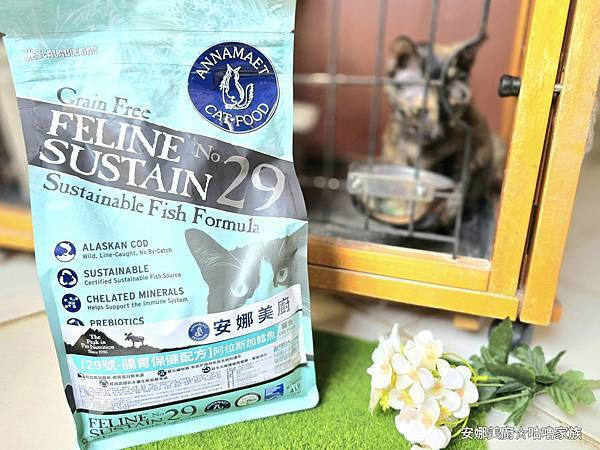 體驗｜高齡貓更需要的營養配方，全齡貓皆可食用的低GI貓糧【A