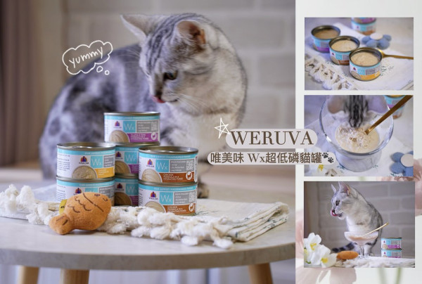低磷罐頭分享｜【WERUVA唯美味】Wx超低磷貓罐開箱，雙魚盛宴、鮮燉雞肉、原萃雞肉，極低磷又兼具適口性，照顧貓咪腎臟健康首選！