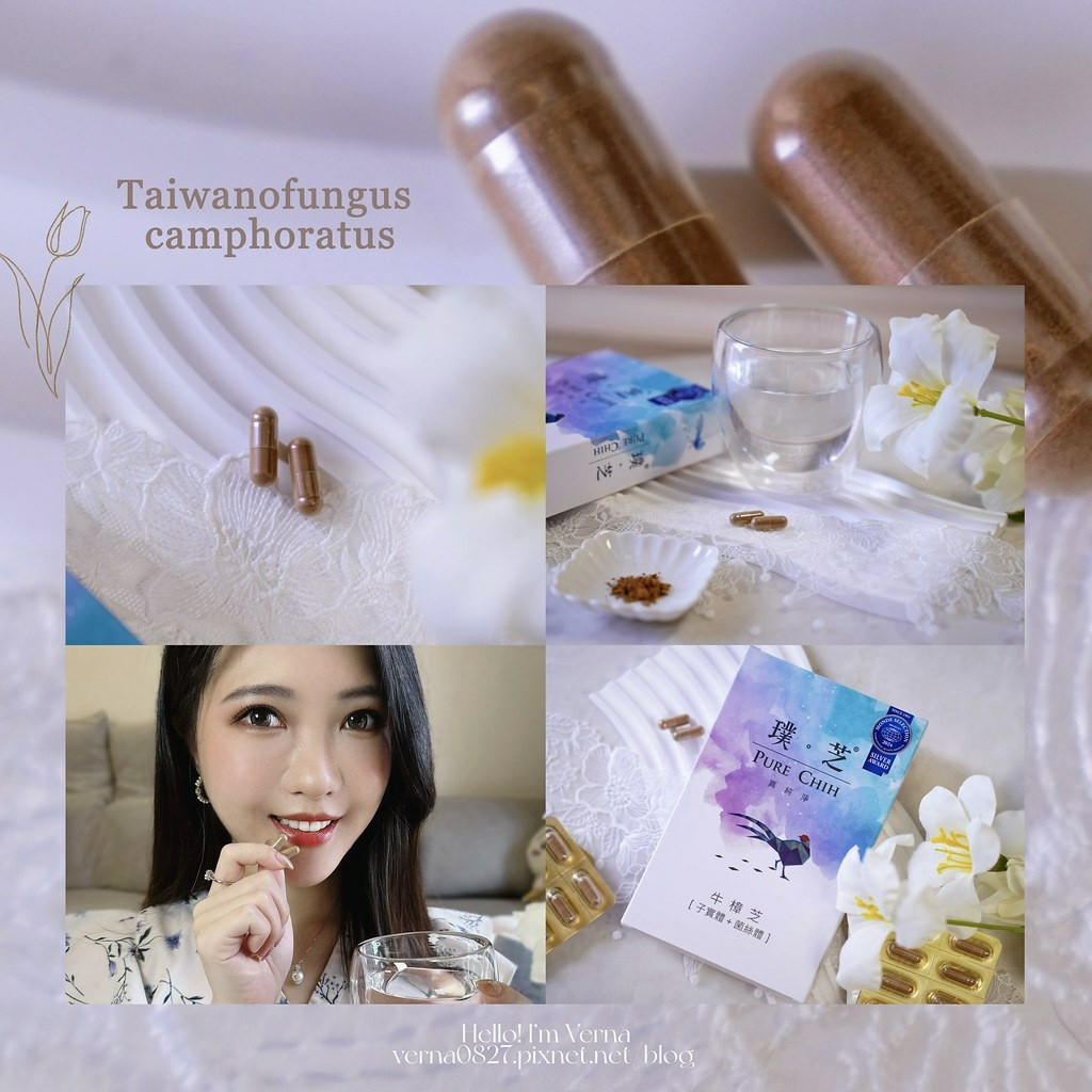 牛樟芝提神保健品開箱｜【璞芝牛樟芝膠囊】不再依賴咖啡續命，幫