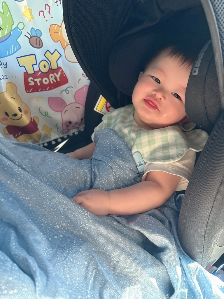 【育兒好物推薦】aden＋anais評價 美國a+a竹纖維包