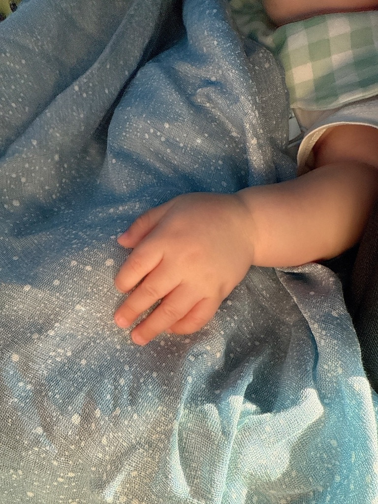 【育兒好物推薦】aden＋anais評價 美國a+a竹纖維包