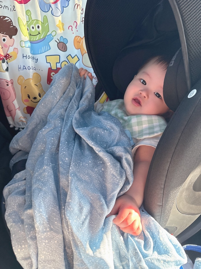 【育兒好物推薦】aden＋anais評價 美國a+a竹纖維包