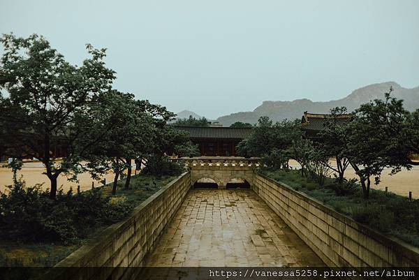 【韓國】〔首爾〕六天五夜自由行｜土俗村蔘雞湯토속촌삼계탕｜景