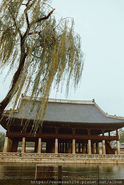 【韓國】〔首爾〕六天五夜自由行｜土俗村蔘雞湯토속촌삼계탕｜景