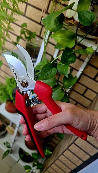 [ MINGTOOL 銘刀 ]  ✂️日本鋼園藝剪/日本頂級