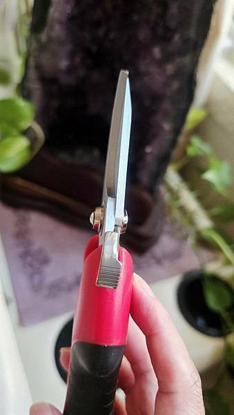 [ MINGTOOL 銘刀 ]  ✂️日本鋼園藝剪/日本頂級
