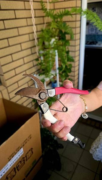 [ MINGTOOL 銘刀 ]  ✂️日本鋼園藝剪/日本頂級
