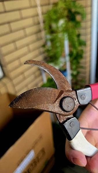 [ MINGTOOL 銘刀 ]  ✂️日本鋼園藝剪/日本頂級