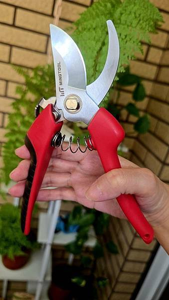 [ MINGTOOL 銘刀 ]  ✂️日本鋼園藝剪/日本頂級