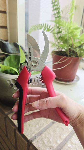 [ MINGTOOL 銘刀 ]  ✂️日本鋼園藝剪/日本頂級