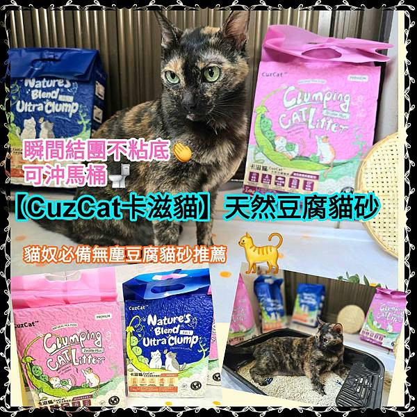 體驗｜因為乾淨所以靠近，好鏟不粘底【CuzCat卡滋貓】天然