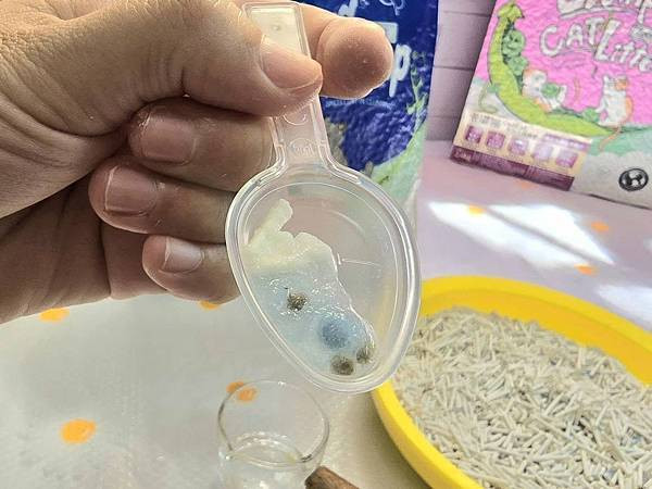 體驗｜因為乾淨所以靠近，好鏟不粘底【CuzCat卡滋貓】天然