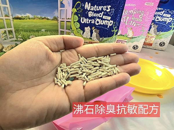 體驗｜因為乾淨所以靠近，好鏟不粘底【CuzCat卡滋貓】天然