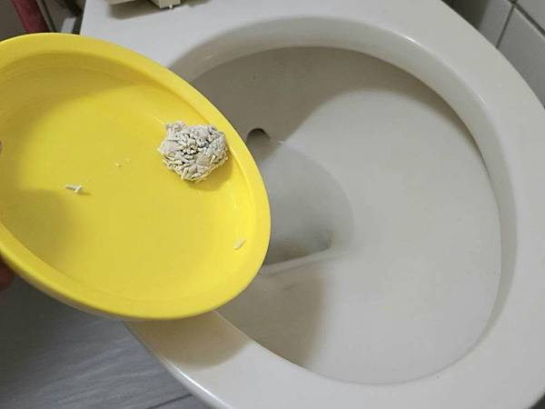 體驗｜因為乾淨所以靠近，好鏟不粘底【CuzCat卡滋貓】天然