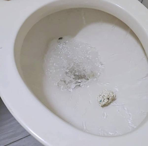 體驗｜因為乾淨所以靠近，好鏟不粘底【CuzCat卡滋貓】天然