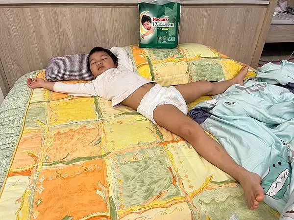 戒尿布時期的過夜神器---好奇小森林好眠褲