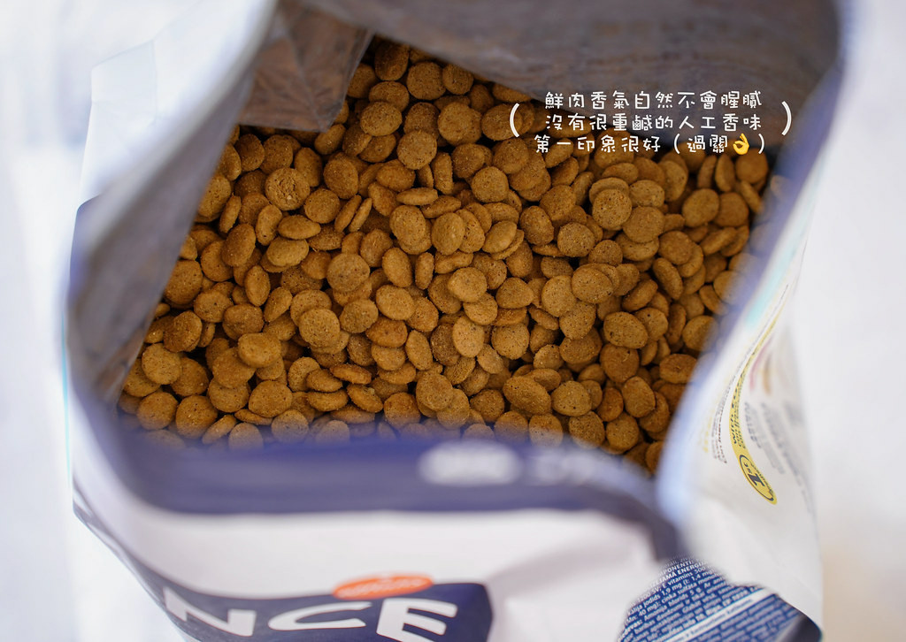 高含肉量貓糧推薦｜【Advance愛旺斯】西班牙獸醫推薦品牌